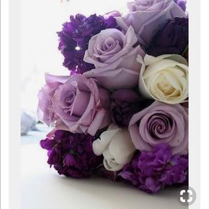 Meet your Posher, Kelley